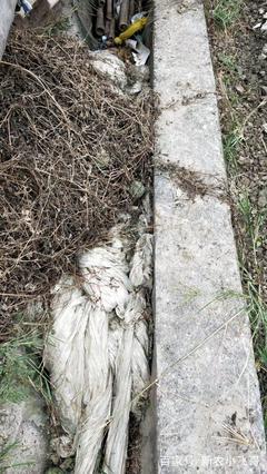 焚烧废旧塑料 是资源浪费还是无奈之举？