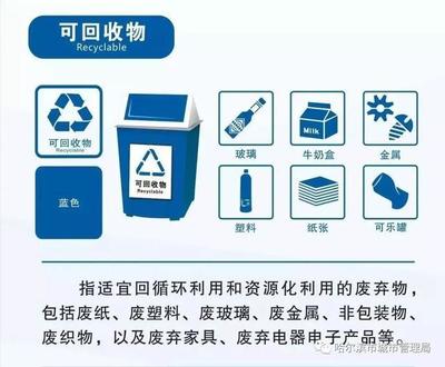 泡沫塑料与废旧塑料 从垃圾分类到循环再生的绿色旅程